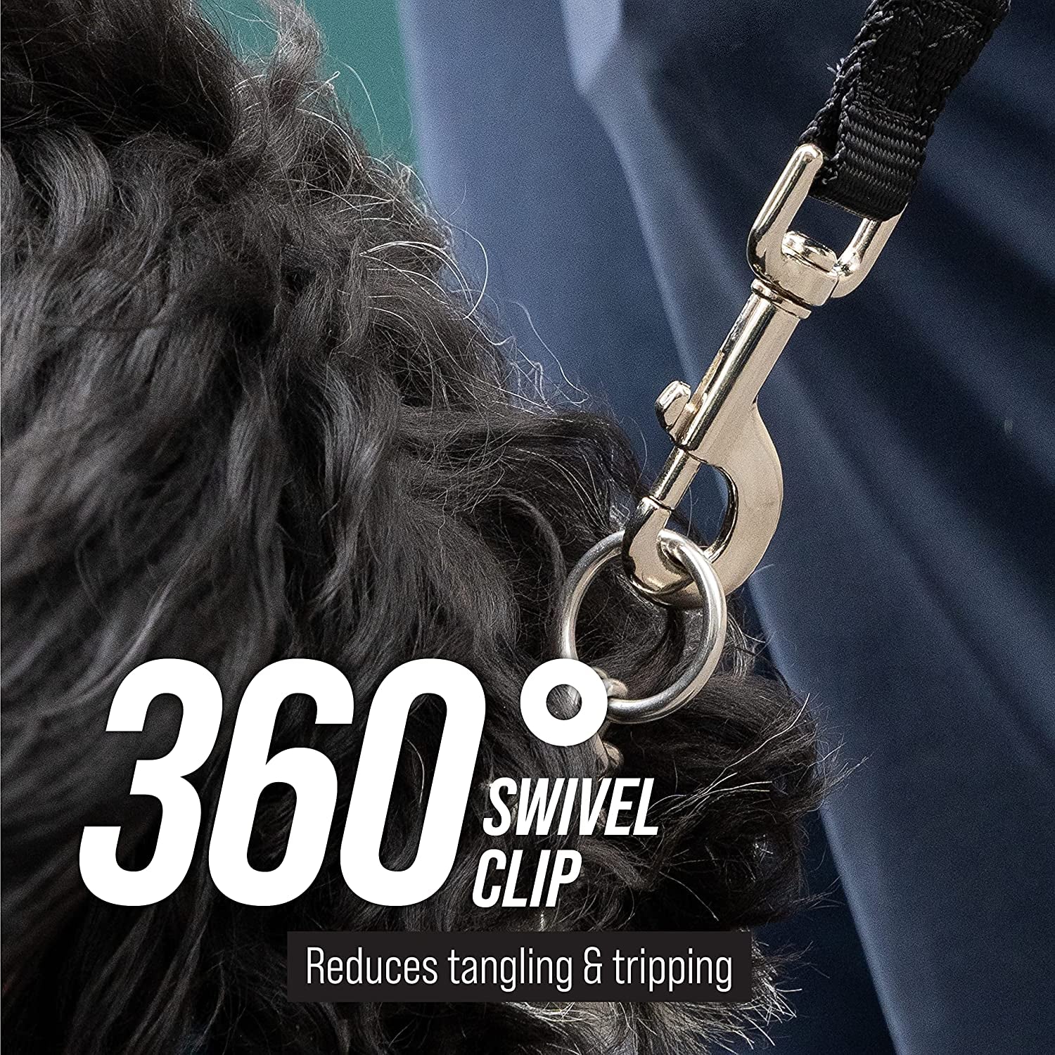 Long Trainer - 1 Inch Nylon Long Dog Training Leash with Storage Strap (50 Ft, Black)